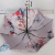 Edge Ultra-Light Five-Fold Umbrella Girl Pocket Rain Or Shine Dual-Use Umbrella Folding Sun Protection Uv Protection Ultra-Light Sun Umbrella