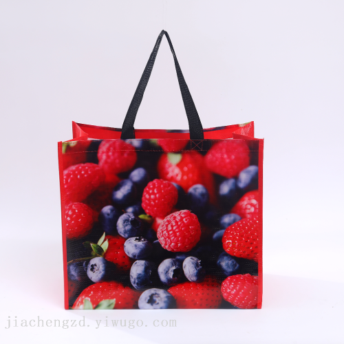 编织袋手提袋购物袋 蛇皮袋 礼品袋 超市购物袋 编织袋覆膜手提袋