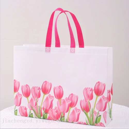 厂家直销批发无纺布袋环保袋现货手提袋 超市购物袋 多花样服装袋