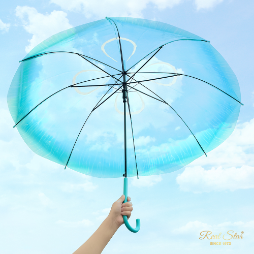 Rst920 Umbrella Aurelia Aurita Long Handle Umbrella Creative Ins Style Long Handle Umbrella Wholesale Plastic Umbrella