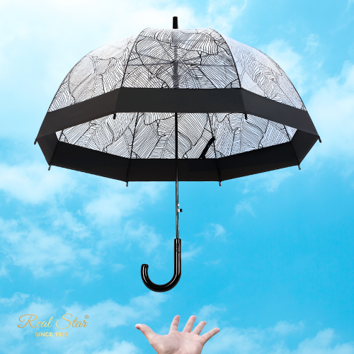 Rst949a New Transparent Umbrella Paisley Transparent Umbrella Long Handle Umbrella Apollo Arch Umbrella