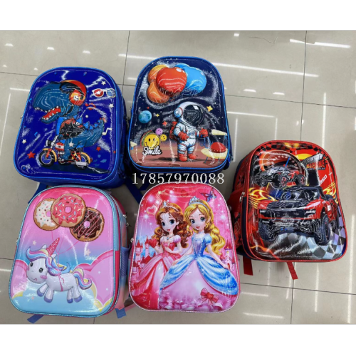 6008-1 13寸小书包