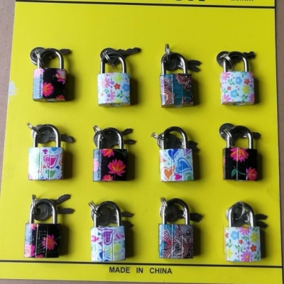 Flower Lock, Decal Lock, Spray Flower Lock, Spray Flower 12 Suction Card Lock Combination Suction Card Flower Lock Printing Lock Long Beam Lock