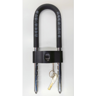 Smart Fingerprint U-Lock Glass Door Lock Shop Door Mortise Lock Double Door Anti-Theft Lock Lengthened U-Shaped Lock