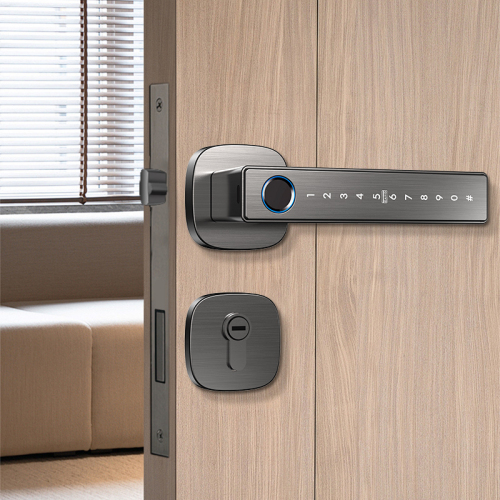 智能门锁涂鸦蓝牙版 虚位密码防窥视 临时密码分享