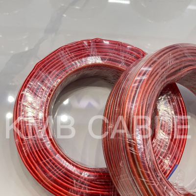 Home Decoration Wire Transparent Speaker Cable