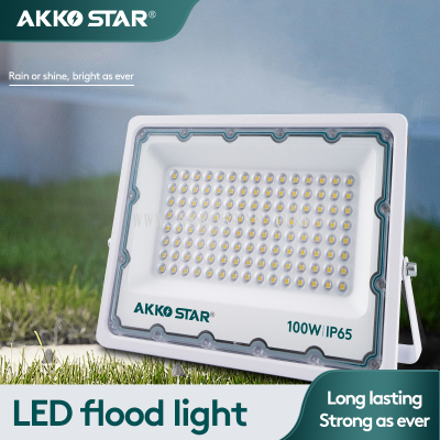 AKKO STAR 100W floodlight 6500K