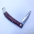 209 Wood Grain Knife Stainless Steel Wooden Handle Foldable Knife Convenient Key Chain Knife Camping Folding Fruit Knife