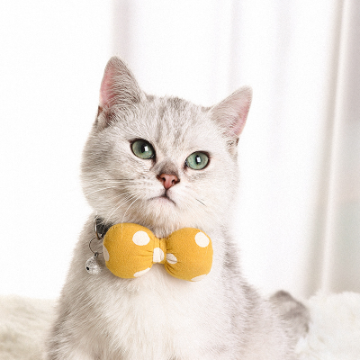 New Hot Sale Cat Collar Handmade Cute Cat Collar Polka Dot Dog Cat Bow Pet Collar Wholesale