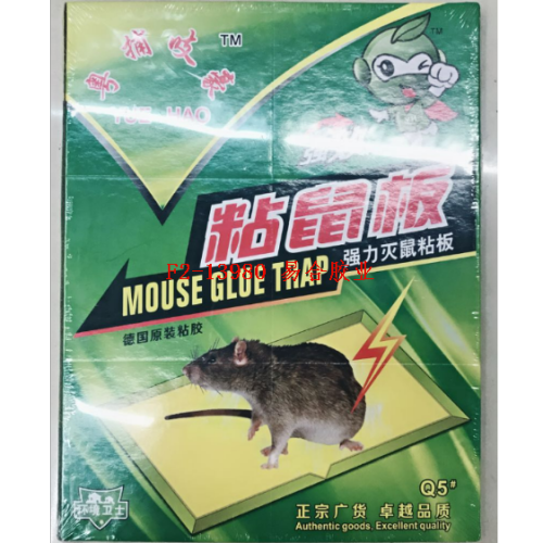 强力绿色粘鼠板大中小号 老鼠夹 老鼠板老鼠笼