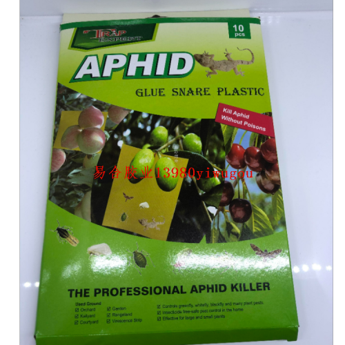 大号果绿昆虫贴苍蝇贴壁虎贴果树果虫贴超强粘性