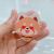 Acrylic Pp Clip Custom Cartoon Shape Note Clip Drop Plastic Star Pet Cute Small Gift Storage Clip
