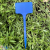 Plastic T-Shaped Label about 15cm Plant Inserts Gardening Tag Flower Brand Plant Signboard Plug-in