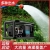 Factory Direct Sales Excellent Quality Electric Watering Machine.