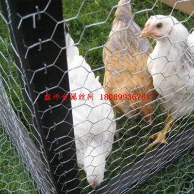 Hexagonal Wire Net Twisted Flower Net Barbed Wire Chicken-Wire Pattern Bird Cage Net