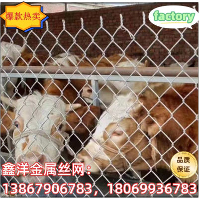 Chain Link Fence Barbed Wire Fence Isolation Network Garden Diamond-Shaped Network Breeding Greening Fence Hanging Net