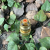 Brass New Hose Used in Garden Spray High Pressure Household Car Washing Gun Garden Tools Hardware 15126