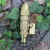 Copper Gold Handle Valve Spray Gun High Pressure Car Wash Garden Hose Water Gun Hardware Garden Tools 15126