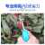 Picking Pepper Flower Twig Clipper Pointed Fruit Picker Fruit Picking Scissors Cutting Bud Tip Gardening Scissors Fruit Scissors Pruning Shear