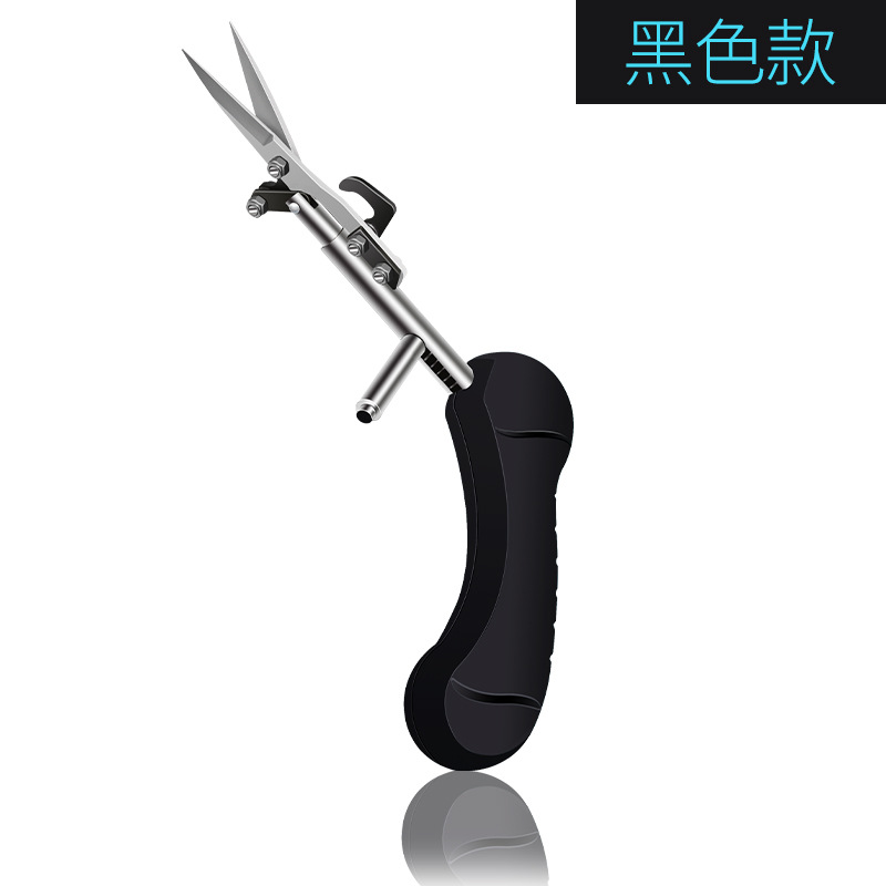 Product Image Gallery
