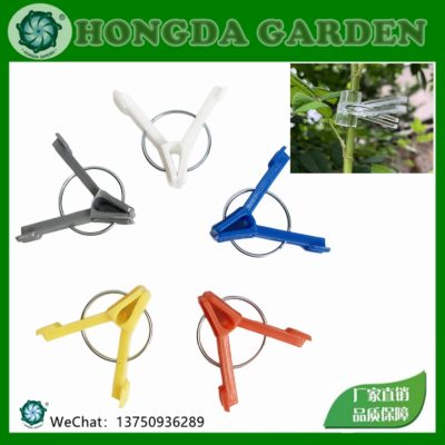Agricultural Flat Flat Head round Mouth Plant Graft Clip Tomato Graft Clip Plastic Vegetable Tomato Clip 15126