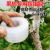 Pe Small Roll Stretch Film 3 ''Stretch Film Protection Grafting Membrane 15126