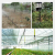 Pitaya Seedlings Hanging Micro Spray Irrigation Cooling Rotating Spray Flow Uniform Atomization Hanging Micro Spray 15126