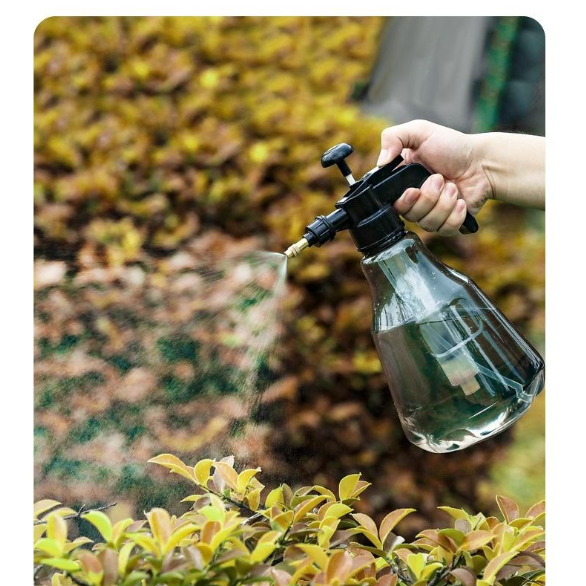 Product Image Gallery
