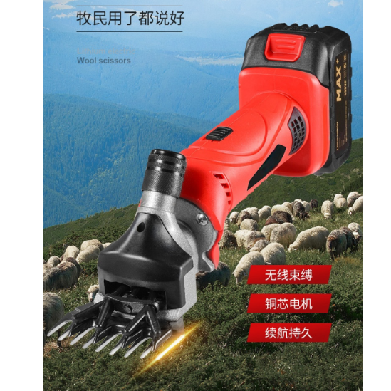 Product Image Gallery