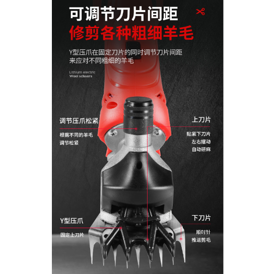 Product Image Gallery
