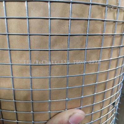 Metal Square Wire Mesh/Welded  Wire Mesh