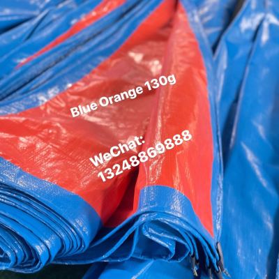Export to Australia Tarpaulin Mexico Tarpaulin PE Waterproof Cloth Camping Cloth Disaster Relief Tarpaulin