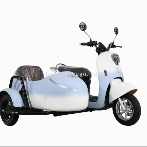 scenic spot parent-child electric sidecar pedal electric car turtle carry-over three-wheel leisure travel scenic spot scooter