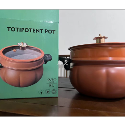 Pumpkin Pot Steamer
