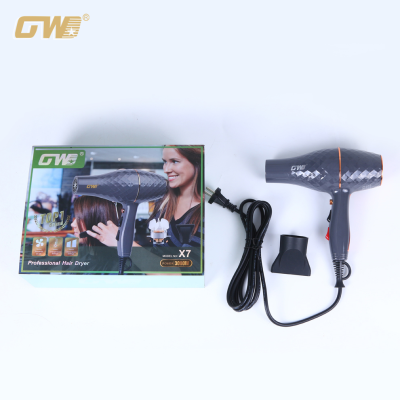 New Strong Wind High Power 3000W Barber Hair Salon Suitable for Hot and Cold Electric Hair Dryer Guangdong Guowei Electric Appliance Produced
