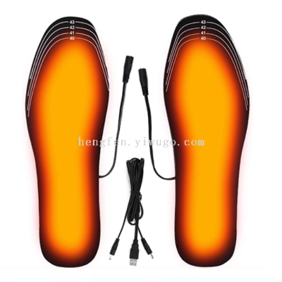 Electric Heating Insole