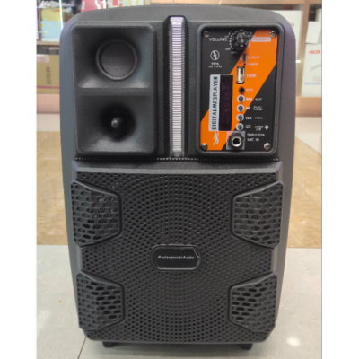 Portable Portable Bluetooth Card Subwoofer with Microphone Karaoke Speaker