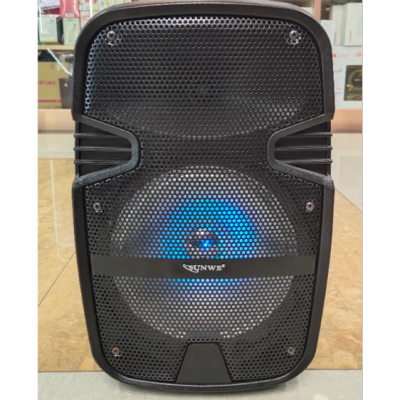 8-Inch Outdoor Portable with Microphone Card USB Bluetooth Speaker