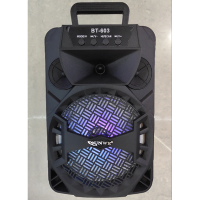 Compact and Portable Portable Subwoofer with Microphone Bluetooth Speaker