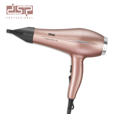 DSP Hair Dryer Strong Wind Speed Dry Hair Stylist Household Thermostatic Hair Care High Power Hair Dryer 30284