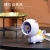 "Product Number" Ys2254ab "Product Name" Glaring Gold Series Cute Pet Folding Handheld Fan
