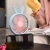 Ym88155b "Product Name" Contrast Color Series Large Adorable Rabbit Handheld Fan with Base (4 Colors)