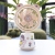 "Product Number" Ym88158a "Product Name" Large Cute Bear Desk Fan (4 Colors)