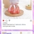 "Product Number" 789-47f "Product Name" Sitting Gradient Jelly Colorful Fan