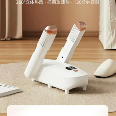 Multifunctional Shoes Dryer