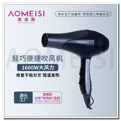 Aos HD-3300 Factory Wholesale Hair Salon Professional Hair Dryer Foreign Trade High Power Household Electric Hair Dryer
