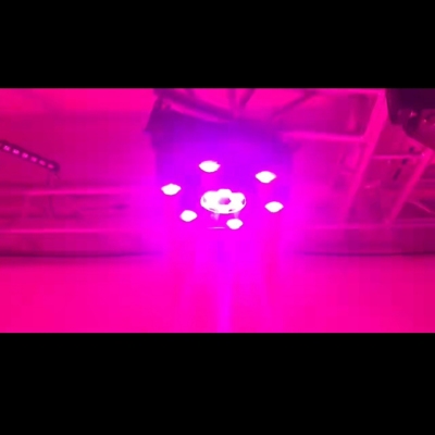 Six-Head Laser Shaking Head Stage Light Stage Ambience Light Wedding Light KTV Room Light