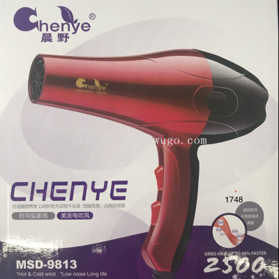 Chenye Brand Hair Dryer 9813 Hair Dryer Machine Hair Salon Professional Factory Wholesale High Power Household Electric Hair Dryer