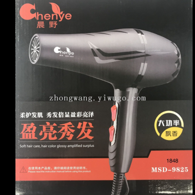 Chenye Brand Hair Dryer 9825 Hair Dryer Machine Hair Salon Professional Factory Wholesale High Power Household Electric Hair Dryer