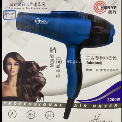 Chenye Brand Hair Dryer 8919 Hair Dryer Machine Hair Salon Professional Factory Wholesale High Power Household Electric Hair Dryer